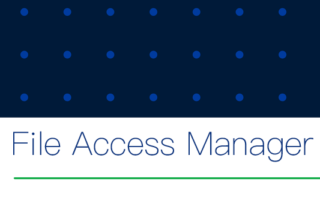 SP File Access Manager